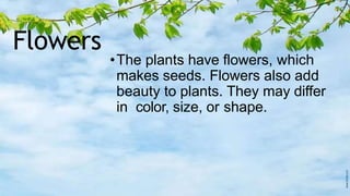 Flowers
•The plants have flowers, which
makes seeds. Flowers also add
beauty to plants. They may differ
in color, size, or shape.
 