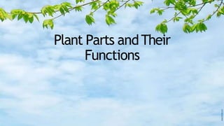 Plant Parts andTheir
Functions
 
