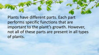 Plants have different parts. Each part
performs specific functions that are
important to the plant’s growth. However,
not all of these parts are present in all types
of plants.
 