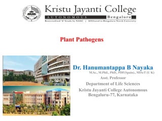 Dr. Hanumantappa B Nayaka
M.Sc., M.Phil., PhD., PDF(Spain)., MIScT (U K)
Asst. Professor
Department of Life Sciences
Kristu Jayanti College Autonomous
Bengaluru-77, Karnataka
Plant Pathogens
 
