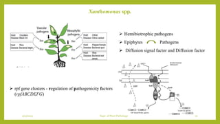 Plant Pathogenesis pptx plant-pathogenesis-pptx