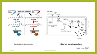 plant pathogenesis.pptx