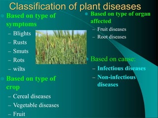Classification of plant diseases
 Based on type of
symptoms
– Blights
– Rusts
– Smuts
– Rots
– wilts
 Based on type of
crop
– Cereal diseases
– Vegetable diseases
– Fruit
 Based on type of organ
affected
– Fruit diseases
– Root diseases
 Based on cause:
– Infectious diseases
– Non-infectious
diseases
 