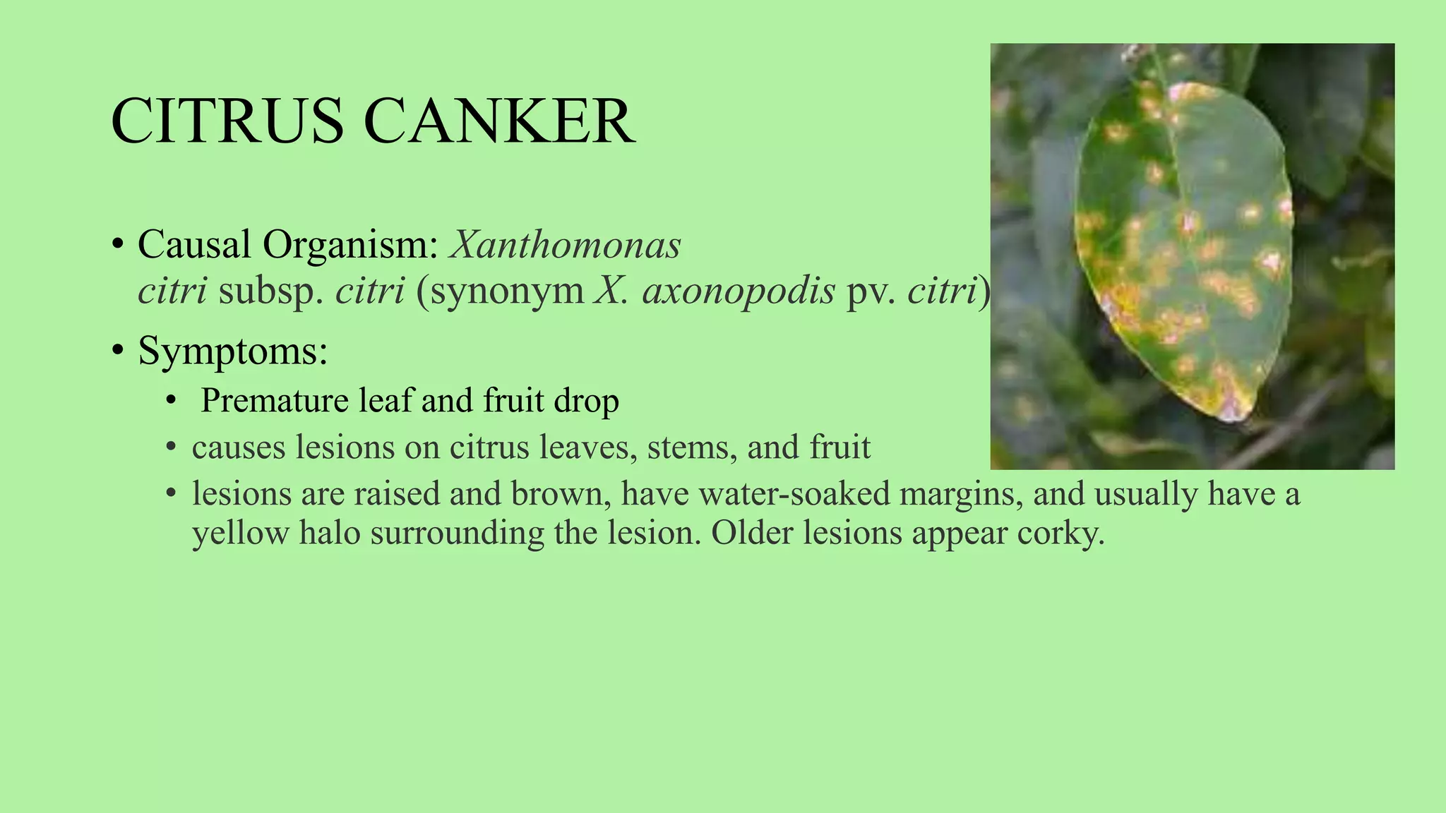 PLANT PATHOLOGY.pptx