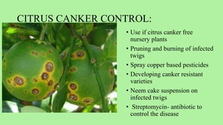 PLANT PATHOLOGY.pptx