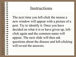 Instructions
The next time you left-click the mouse a
new window will appear with a picture of a
pest. Try to identify it. Once you have
decided on what it is or have given up, left-
click again and the common name will
appear. The next slide will then ask
questions about the disease and left-clicking
will reveal the answers.
 
