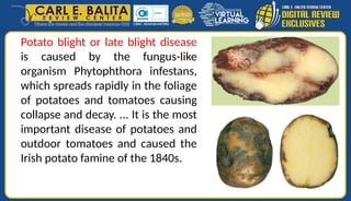 Crop Protection - Plant pathology | PPTX