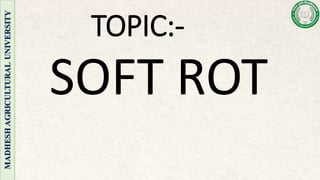 plant pathology_091955.pptx