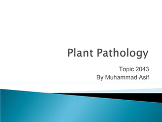 Topic 2043
By Muhammad Asif
 