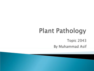 Topic 2043 By Muhammad Asif 