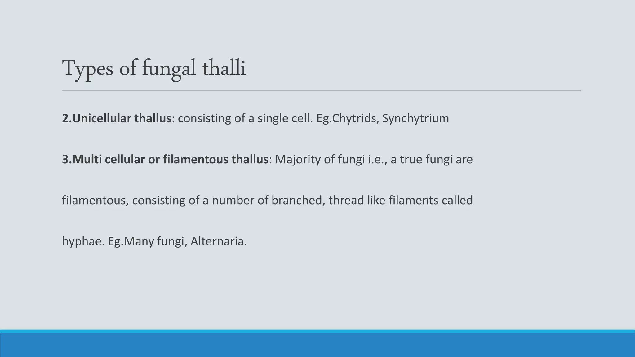 Types of fungal thalli
2.Unicellular thallus: consisting of a single cell. Eg.Chytrids, Synchytrium
3.Multi cellular or filamentous thallus: Majority of fungi i.e., a true fungi are
filamentous, consisting of a number of branched, thread like filaments called
hyphae. Eg.Many fungi, Alternaria.
 
