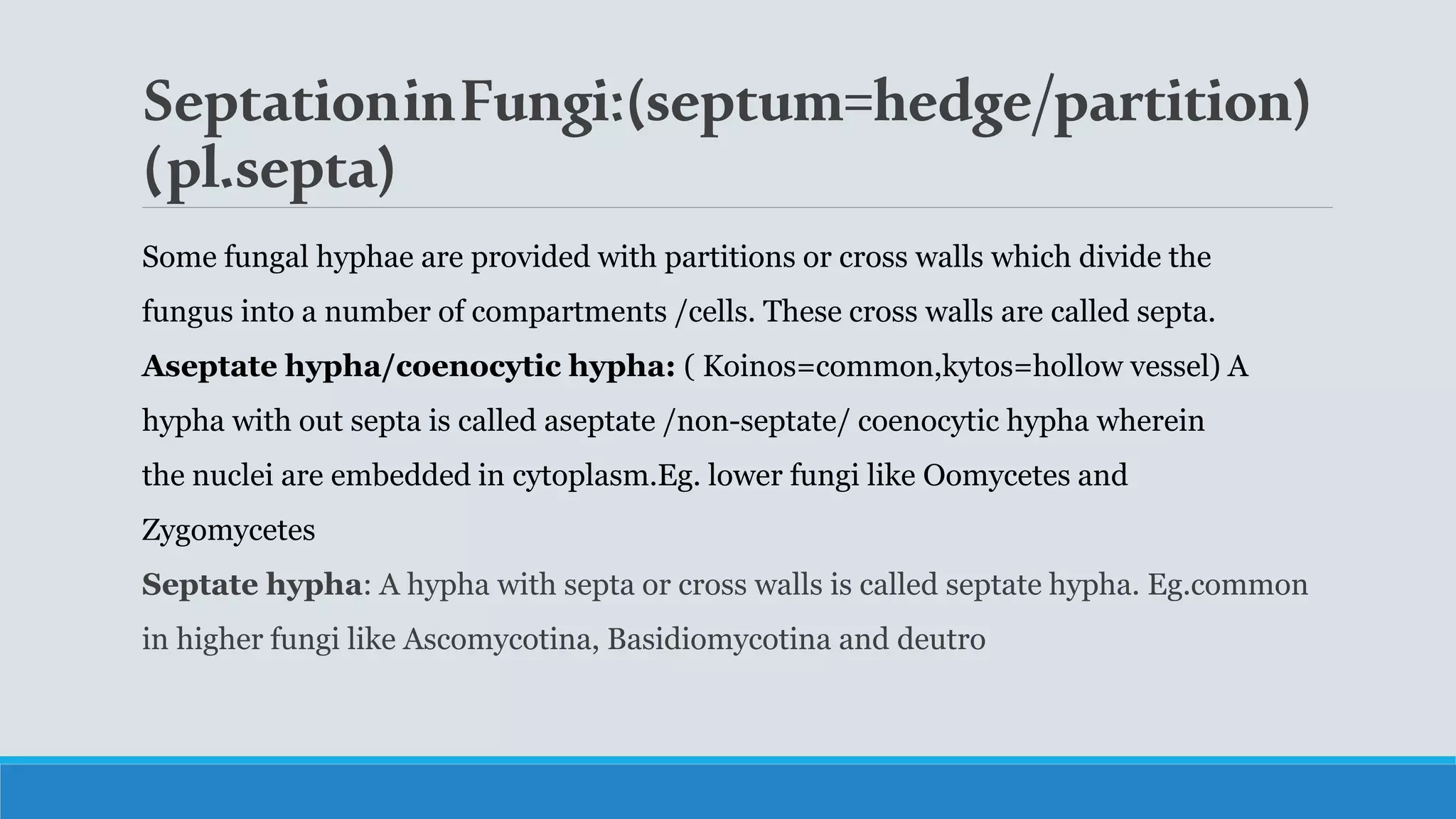 SeptationinFungi:(septum=hedge/partition)
(pl.septa)
Some fungal hyphae are provided with partitions or cross walls which divide the
fungus into a number of compartments /cells. These cross walls are called septa.
Aseptate hypha/coenocytic hypha: ( Koinos=common,kytos=hollow vessel) A
hypha with out septa is called aseptate /non-septate/ coenocytic hypha wherein
the nuclei are embedded in cytoplasm.Eg. lower fungi like Oomycetes and
Zygomycetes
Septate hypha: A hypha with septa or cross walls is called septate hypha. Eg.common
in higher fungi like Ascomycotina, Basidiomycotina and deutro
 