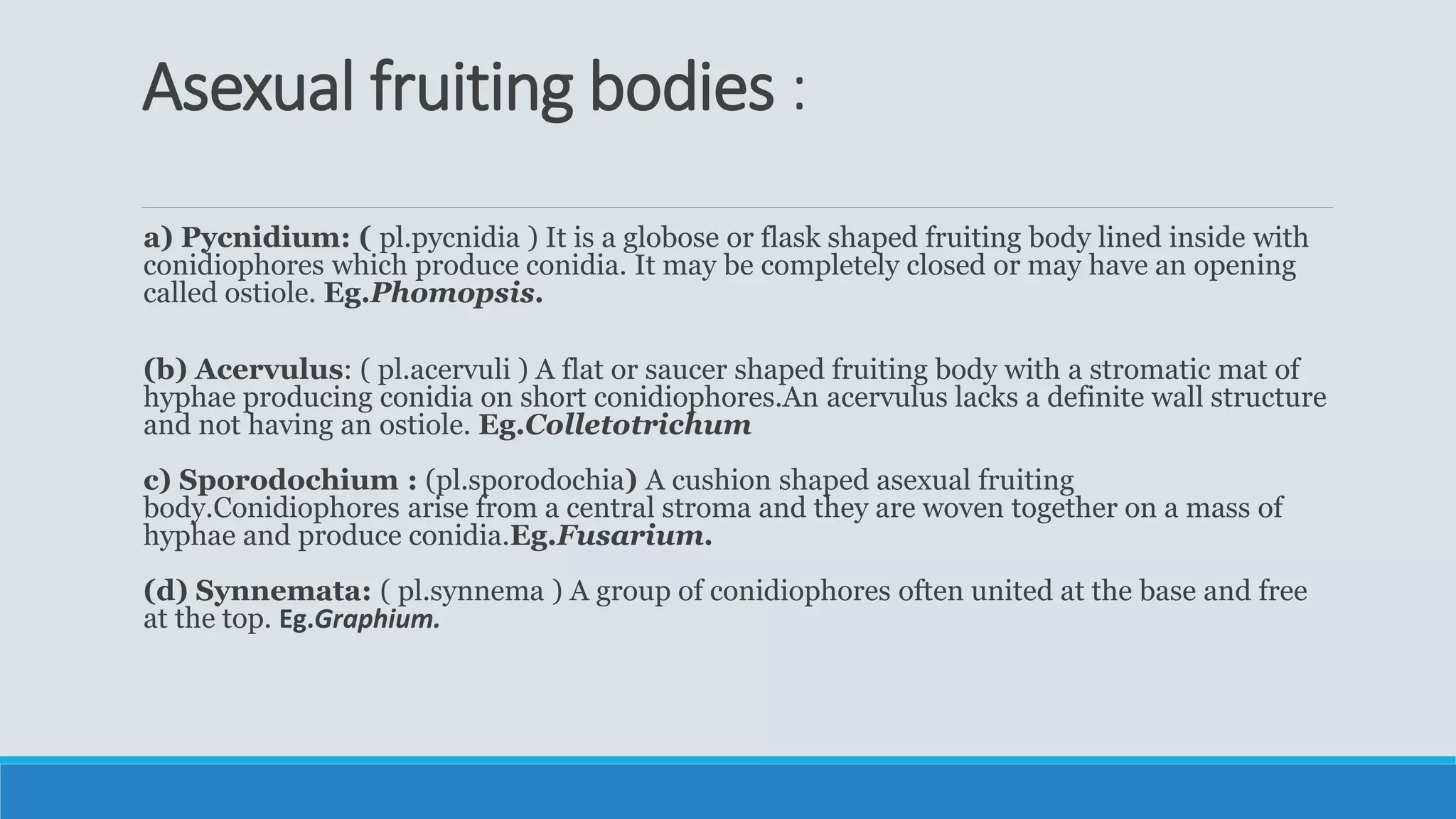 Asexual fruiting bodies :
a) Pycnidium: ( pl.pycnidia ) It is a globose or flask shaped fruiting body lined inside with
conidiophores which produce conidia. It may be completely closed or may have an opening
called ostiole. Eg.Phomopsis.
(b) Acervulus: ( pl.acervuli ) A flat or saucer shaped fruiting body with a stromatic mat of
hyphae producing conidia on short conidiophores.An acervulus lacks a definite wall structure
and not having an ostiole. Eg.Colletotrichum
c) Sporodochium : (pl.sporodochia) A cushion shaped asexual fruiting
body.Conidiophores arise from a central stroma and they are woven together on a mass of
hyphae and produce conidia.Eg.Fusarium.
(d) Synnemata: ( pl.synnema ) A group of conidiophores often united at the base and free
at the top. Eg.Graphium.
 