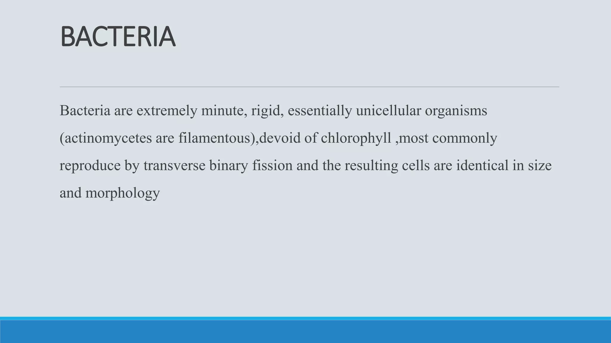 BACTERIA
Bacteria are extremely minute, rigid, essentially unicellular organisms
(actinomycetes are filamentous),devoid of chlorophyll ,most commonly
reproduce by transverse binary fission and the resulting cells are identical in size
and morphology
 