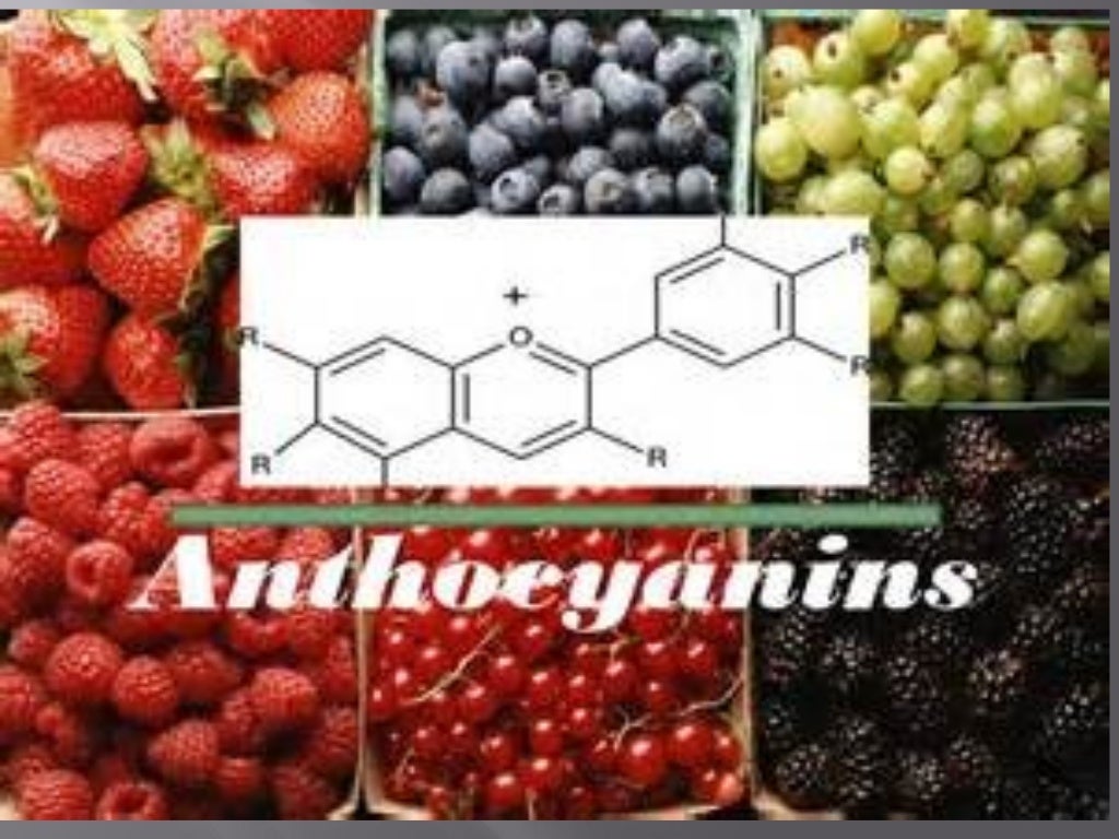 Plant phenolic compounds