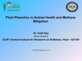 Plant Phenolics in Animal Health and Methane
Mitigation
Dr. Avijit Dey
Senior Scientist
ICAR- Central Institute for Research on Buffaloes, Hisar- 125 001
*avijitcirb@gmail.com
 