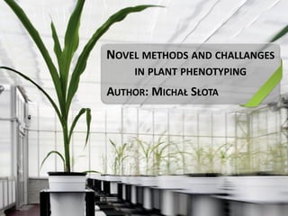 NOVEL METHODS AND CHALLANGES
IN PLANT PHENOTYPING
AUTHOR: MICHAŁ SŁOTA
 