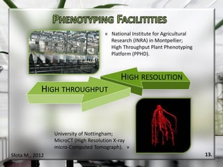 Plant phenotyping platforms | PDF