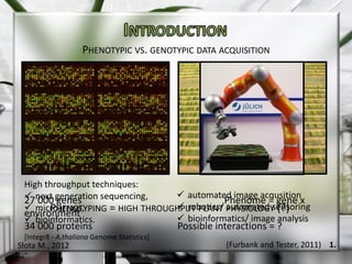 Plant phenotyping platforms | PDF