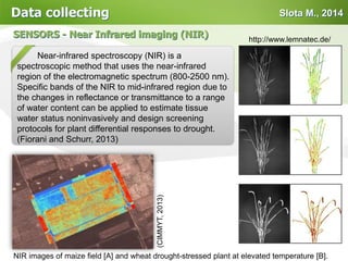 Slota M., 2014Data collecting
Near-infrared spectroscopy (NIR) is a
spectroscopic method that uses the near-infrared
region of the electromagnetic spectrum (800-2500 nm).
Specific bands of the NIR to mid-infrared region due to
the changes in reflectance or transmittance to a range
of water content can be applied to estimate tissue
water status noninvasively and design screening
protocols for plant differential responses to drought.
(Fiorani and Schurr, 2013)
SENSORS - Near Infrared imaging (NIR)
(CIMMYT,2013)
NIR images of maize field [A] and wheat drought-stressed plant at elevated temperature [B].
http://www.lemnatec.de/
 