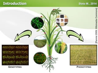 Introduction Slota M., 2014
GENOTYPING PHENOTYPING
[Pennisi2009;WikimediaCommons]
 