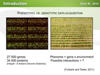 Plant phenotyping systems | PDF
