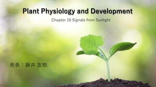 Plant Physiology and Development
Chapter 16 Signals from Sunlight
発表：藤井 友樹
 