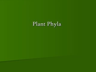 Plant Phyla
 