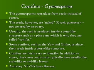Conifers - Gymnosperms
   The gymnosperms reproduce from seeds instead of
    spores.
   The seeds, however, are "naked" (Greek: gummnos) --
    not covered by an ovary.
   Usually, the seed is produced inside a cone-like
    structure such as a pine cone which is why they are
    called "conifer."
   Some conifers, such as the Yew and Ginko, produce
    their seeds inside a berry-like structure.
   Conifers are fairly easy to identify: In addition to
    cones, these trees and shrubs typically have needle-like,
    scale-like or awl-like leaves.
   And they NEVER have flowers.
 