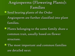 Angiosperms (Flowering Plants):
            Families
 Seed bearing plants of the Order

 Angiosperm are further classified into plant
 families.
 Plants belonging to the same family share a

 common trait, usually based on flower
 structure.
 The most important and common families

 are detailed next:
 