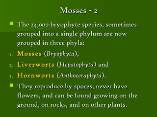 Mosses - 2
    The 24,000 bryophyte species, sometimes
     grouped into a single phylum are now
     grouped in three phyla:
1.   Mosses (Bryophyta),
2.   Liverworts (Hepatophyta) and
3.   Hornworts (Anthoceraphyta).
    They reproduce by spores, never have
     flowers, and can be found growing on the
     ground, on rocks, and on other plants.
 