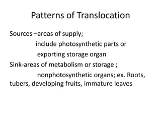 Patterns of Translocation
Sources –areas of supply;
         include photosynthetic parts or
          exporting storage organ
Sink-areas of metabolism or storage ;
          nonphotosynthetic organs; ex. Roots,
tubers, developing fruits, immature leaves
 