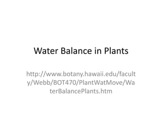 Water Balance in Plants

http://www.botany.hawaii.edu/facult
y/Webb/BOT470/PlantWatMove/Wa
        terBalancePlants.htm
 