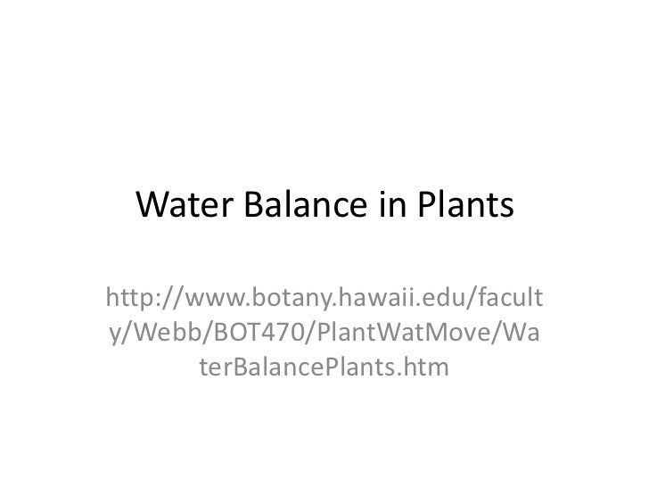 Plant physio water balance in plants