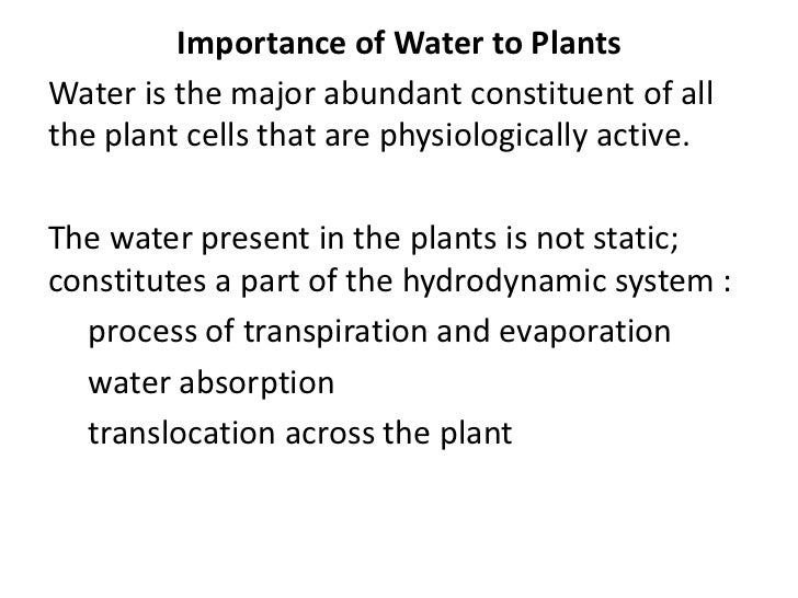 Plant physio water balance in plants