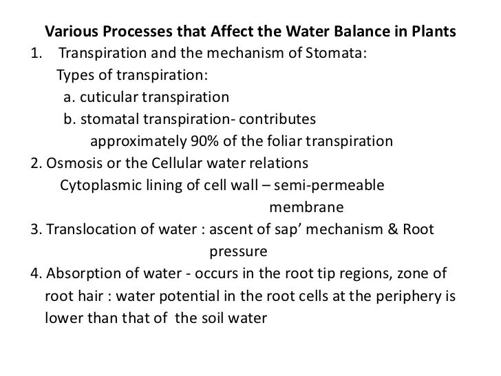 Plant physio water balance in plants