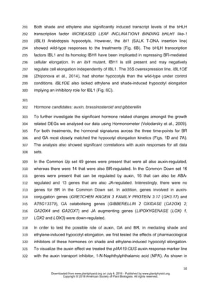 10
Both shade and ethylene also significantly induced transcript levels of the bHLH291
transcription factor INCREASED LEAF INCLINATION1 BINDING bHLH1 like-1292
(IBL1) Arabidopsis hypocotyls. However, the ibl1 (SALK T-DNA insertion line)293
showed wild-type responses to the treatments (Fig. 6B). The bHLH transcription294
factors IBL1 and its homolog IBH1 have been implicated in repressing BR-mediated295
cellular elongation. In an ibl1 mutant, IBH1 is still present and may negatively296
regulate cell elongation independently of IBL1. The 35S overexpression line, IBL1OE297
(Zhiponova et al., 2014), had shorter hypocotyls than the wild-type under control298
conditions. IBL1OE also lacked ethylene and shade-induced hypocotyl elongation299
implying an inhibitory role for IBL1 (Fig. 6C).300
301
Hormone candidates: auxin, brassinosteroid and gibberellin302
To further investigate the significant hormone related changes amongst the growth303
related DEGs we analysed our data using Hormonometer (Volodarsky et al., 2009).304
For both treatments, the hormonal signatures across the three time-points for BR305
and GA most closely matched the hypocotyl elongation kinetics (Figs. 1D and 7A).306
The analysis also showed significant correlations with auxin responses for all data307
sets.308
In the Common Up set 49 genes were present that were all also auxin-regulated,309
whereas there were 14 that were also BR-regulated. In the Common Down set 16310
genes were present that can be regulated by auxin, 16 that can also be ABA-311
regulated and 13 genes that are also JA-regulated. Interestingly, there were no312
genes for BR in the Common Down set. In addition, genes involved in auxin-313
conjugation genes (GRETCHEN HAGEN 3 FAMILY PROTEIN 3.17 (GH3.17) and314
AT5G13370), GA catabolising genes (GIBBERELLIN 2 OXIDASE (GA2OX) 2,315
GA2OX4 and GA2OX7) and JA augmenting genes (LIPOXYGENASE (LOX) 1,316
LOX2 and LOX3) were down-regulated.317
In order to test the possible role of auxin, GA and BR, in mediating shade and318
ethylene-induced hypocotyl elongation, we first tested the effects of pharmacological319
inhibitors of these hormones on shade and ethylene-induced hypocotyl elongation.320
To visualize the auxin effect we treated the pIAA19:GUS auxin response marker line321
with the auxin transport inhibitor, 1-N-Naphthylphthalamic acid (NPA). As shown in322
www.plantphysiol.orgon July 4, 2016 - Published bywww.plantphysiol.orgDownloaded from
Copyright © 2016 American Society of Plant Biologists. All rights reserved.
 
