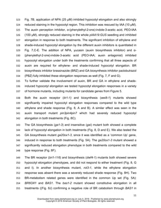 11
Fig. 7B, application of NPA (25 µM) inhibited hypocotyl elongation and also strongly323
reduced staining in the hypocotyl region. This inhibition was rescued by IAA (10 µM).324
The auxin perception inhibitor, α-(phenylethyl-2-one)-indole-3-acetic acid, PEO-IAA325
(100 µM), strongly reduced staining in the whole pIAA19:GUS seedling and inhibited326
elongation in response to both treatments. The significant inhibition of ethylene and327
shade-induced hypocotyl elongation by the different auxin inhibitors is quantitated in328
Fig. 7,C-E. The addition of NPA, yucasin (auxin biosynthesis inhibitor) and α-329
(phenylethyl-2-one)-indole-3-acetic acid (PEO-IAA; auxin antagonist) inhibited330
hypocotyl elongation under both the treatments confirming that all three aspects of331
auxin are required for ethylene- and shade-induced hypocotyl elongation. BR332
biosynthesis inhibitor brassinazole (BRZ) and GA biosynthesis inhibitor paclobutrazol333
(PBZ) fully inhibited these elongation responses as well (Fig. 7, F and G).334
To further validate the involvement of auxin, BR and GA in ethylene and shade-335
induced hypocotyl elongation we tested hypocotyl elongation responses in a variety336
of hormone mutants, including mutants for candidate genes from Figure 5.337
Both the auxin receptor (tir1-1) and biosynthesis (wei8-1) mutants showed338
significantly impaired hypocotyl elongation responses compared to the wild type339
ethylene and shade response (Fig. 8, A and B). A similar effect was seen in the340
auxin transport mutant pin3pin4pin7 which had severely reduced hypocotyl341
elongation in both treatments (Fig. 8C).342
The GA biosynthesis (ga1-3) and insensitive (gai) mutant both showed a complete343
lack of hypocotyl elongation in both treatments (Fig. 8, D and E). We also tested the344
GA biosynthesis mutant ga20ox1-3, since it was identified as a ‘common Up’ gene,345
induced in response to both treatments (Fig. 5A). The ga20ox1-3 mutant showed a346
significantly reduced elongation phenotype in both treatments compared to the wild347
type response (Fig. 8F).348
The BR receptor (bri1-116) and biosynthesis (dwf4-1) mutants both showed severe349
hypocotyl elongation phenotypes, and did not respond to either treatment (Fig. 8, G350
and I). In another biosynthesis mutant, rot3-1, while the ethylene elongation351
response was absent there was a severely reduced shade response (Fig. 8H). Two352
BR-metabolism related genes were identified in the common Up set (Fig. 5A):353
BR6OX1 and BAS1. The bas1-2 mutant showed constitutive elongation in all354
treatments ((Fig. 8J) confirming a negative role of BR catabolism through BAS1 in355
www.plantphysiol.orgon July 4, 2016 - Published bywww.plantphysiol.orgDownloaded from
Copyright © 2016 American Society of Plant Biologists. All rights reserved.
 