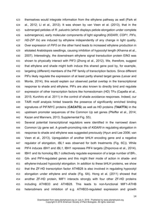 14
themselves would integrate information from the ethylene pathway as well (Park et423
al., 2012; Li et al., 2012). It was shown by van Veen et al. (2013), that in the424
submerged petioles of R. palustris (which displays petiole elongation under complete425
submergence), early molecular components of light signalling (KIDARI, COP1, PIFs,426
HD-ZIP IIs) are induced by ethylene independently of any change in light quality.427
Over expression of PIF5 on the other hand leads to increased ethylene production in428
etiolated Arabidopsis seedlings, causing inhibition of hypocotyl length (Khanna et al.,429
2007). Interestingly, the downstream ethylene signal transduction protein EIN3 was430
shown to physically interact with PIF3 (Zhong et al., 2012). We, therefore, suggest431
that ethylene and shade might both induce this shared gene pool by, for example,432
targeting (different) members of the PIF family of transcription factors. Since different433
PIFs likely regulate the expression of at least partly shared target genes (Leivar and434
Monte, 2014), this would explain our observed partial overlap in the transcriptional435
response to shade and ethylene. PIFs are also known to directly bind and regulate436
expression of other transcription factors like homeodomain (HD) TFs (Capella et al.,437
2015; Kunihiro et al. 2011) in the control of shade avoidance responses. Indeed, our438
TAIR motif analysis hinted towards the presence of significantly enriched binding439
signatures of PIF/MYC proteins (CACATG) as well as HD proteins (TAATTA) in the440
upstream promoter sequences of the Common Up set genes (Pfeiffer et al., 2014;441
Kazan and Manners, 2013; Supplemental Fig. S5).442
Several potential transcriptional regulators were identified in the narrowed down443
Common Up gene set. A growth-promoting role of KIDARI in regulating elongation in444
response to shade and ethylene was suggested previously (Hyun and Lee 2006; van445
Veen et al., 2013). Upregulation of another bHLH encoding gene and a negative446
regulator of elongation, IBL1 was observed for both treatments (Fig. 6C)). While447
PIF4 induces IBH1 and IBL1, IBH1 represses PIF4 targets (Zhiponova et al., 2014).448
IBH1 and its homolog IBL1 collectively regulate expression of a large number of BR-,449
GA- and PIF4-regulated genes and this might their mode of action in shade- and450
ethylene-induced hypocotyl elongation. In addition to these bHLH proteins, we show451
that the ZF-HD transcription factor ATHB28 is also involved in regulating hypocotyl452
elongation under ethylene and shade (Fig. 6A). Hong et al. (2011) showed that453
another ZF-HD protein, MIF1 interacts strongly with four other ZF-HD proteins454
including ATHB33 and ATHB28. This leads to non-functional MIF1-ATHB455
heterodimers and inhibition of e.g. ATHB33-regulated expression and growth456
www.plantphysiol.orgon July 4, 2016 - Published bywww.plantphysiol.orgDownloaded from
Copyright © 2016 American Society of Plant Biologists. All rights reserved.
 