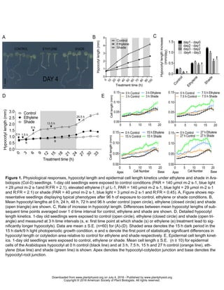 www.plantphysiol.orgon July 4, 2016 - Published bywww.plantphysiol.orgDownloaded from
Copyright © 2016 American Society of Plant Biologists. All rights reserved.
 