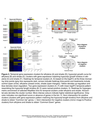 www.plantphysiol.orgon July 4, 2016 - Published bywww.plantphysiol.orgDownloaded from
Copyright © 2016 American Society of Plant Biologists. All rights reserved.
 