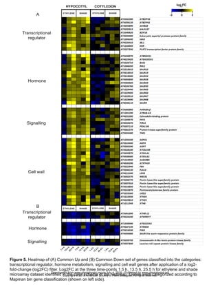 www.plantphysiol.orgon July 4, 2016 - Published bywww.plantphysiol.orgDownloaded from
Copyright © 2016 American Society of Plant Biologists. All rights reserved.
 