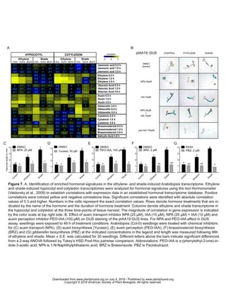 www.plantphysiol.orgon July 4, 2016 - Published bywww.plantphysiol.orgDownloaded from
Copyright © 2016 American Society of Plant Biologists. All rights reserved.
 