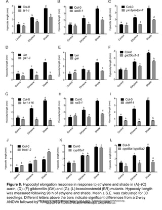 www.plantphysiol.orgon July 4, 2016 - Published bywww.plantphysiol.orgDownloaded from
Copyright © 2016 American Society of Plant Biologists. All rights reserved.
 