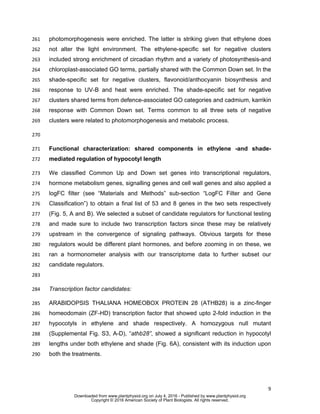 9
photomorphogenesis were enriched. The latter is striking given that ethylene does261
not alter the light environment. The ethylene-specific set for negative clusters262
included strong enrichment of circadian rhythm and a variety of photosynthesis-and263
chloroplast-associated GO terms, partially shared with the Common Down set. In the264
shade-specific set for negative clusters, flavonoid/anthocyanin biosynthesis and265
response to UV-B and heat were enriched. The shade-specific set for negative266
clusters shared terms from defence-associated GO categories and cadmium, karrikin267
response with Common Down set. Terms common to all three sets of negative268
clusters were related to photomorphogenesis and metabolic process.269
270
Functional characterization: shared components in ethylene -and shade-271
mediated regulation of hypocotyl length272
We classified Common Up and Down set genes into transcriptional regulators,273
hormone metabolism genes, signalling genes and cell wall genes and also applied a274
logFC filter (see “Materials and Methods” sub-section “LogFC Filter and Gene275
Classification”) to obtain a final list of 53 and 8 genes in the two sets respectively276
(Fig. 5, A and B). We selected a subset of candidate regulators for functional testing277
and made sure to include two transcription factors since these may be relatively278
upstream in the convergence of signaling pathways. Obvious targets for these279
regulators would be different plant hormones, and before zooming in on these, we280
ran a hormonometer analysis with our transcriptome data to further subset our281
candidate regulators.282
283
Transcription factor candidates:284
ARABIDOPSIS THALIANA HOMEOBOX PROTEIN 28 (ATHB28) is a zinc-finger285
homeodomain (ZF-HD) transcription factor that showed upto 2-fold induction in the286
hypocotyls in ethylene and shade respectively. A homozygous null mutant287
(Supplemental Fig. S3, A-D), “athb28”, showed a significant reduction in hypocotyl288
lengths under both ethylene and shade (Fig. 6A), consistent with its induction upon289
both the treatments.290
www.plantphysiol.orgon July 4, 2016 - Published bywww.plantphysiol.orgDownloaded from
Copyright © 2016 American Society of Plant Biologists. All rights reserved.
 