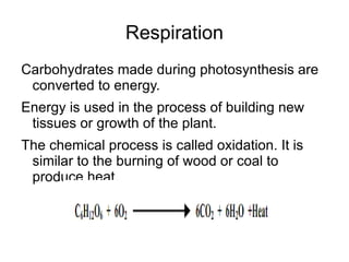 Photosynthesis A plants ability to manufacture its own food (energy) 