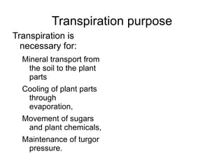 Photosynthesis The only cells that can carry out photosynthesis are in the mesophyll layer of leaves and stems 