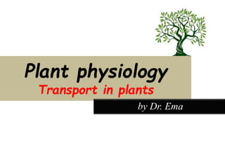 Plant physiology
Transport in plants
by Dr. Ema
 