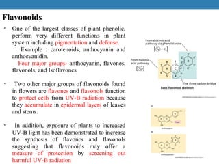 Secondary metabolites in plant defense | PPT