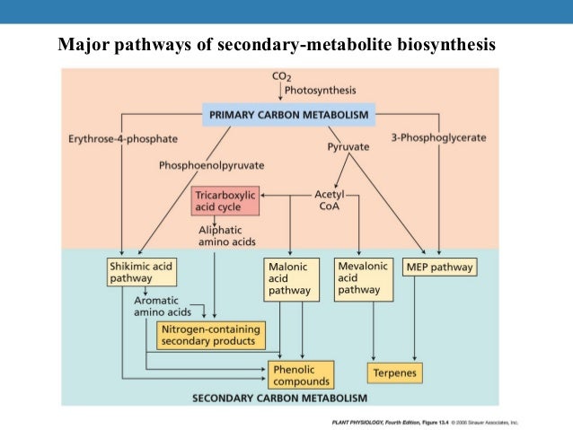 Natural Products Secondary Metabolites Natural Products Secondary Metabolites